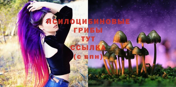 соль курить ск Алексеевка