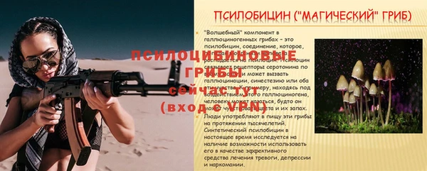 ешки Алзамай