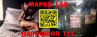 стафф Новозыбков