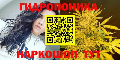 стафф Новозыбков