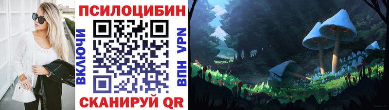 где продают наркотики  Шадринск  Галлюциногенные грибы мухоморы 