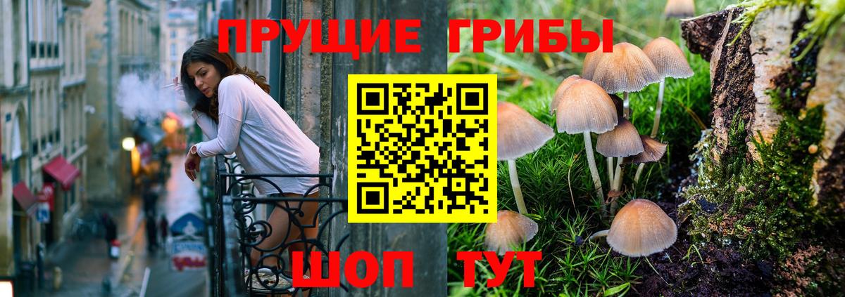 Псилоцибиновые грибы Cubensis  наркошоп  Шадринск  Вход с VPN 