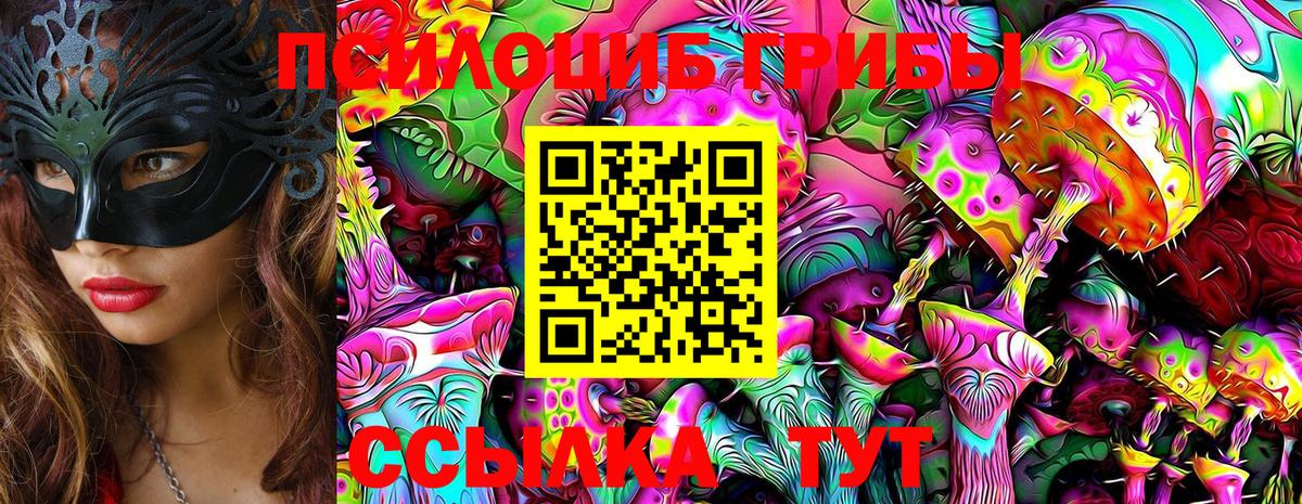 Псилоцибиновые грибы GOLDEN TEACHER Шадринск
